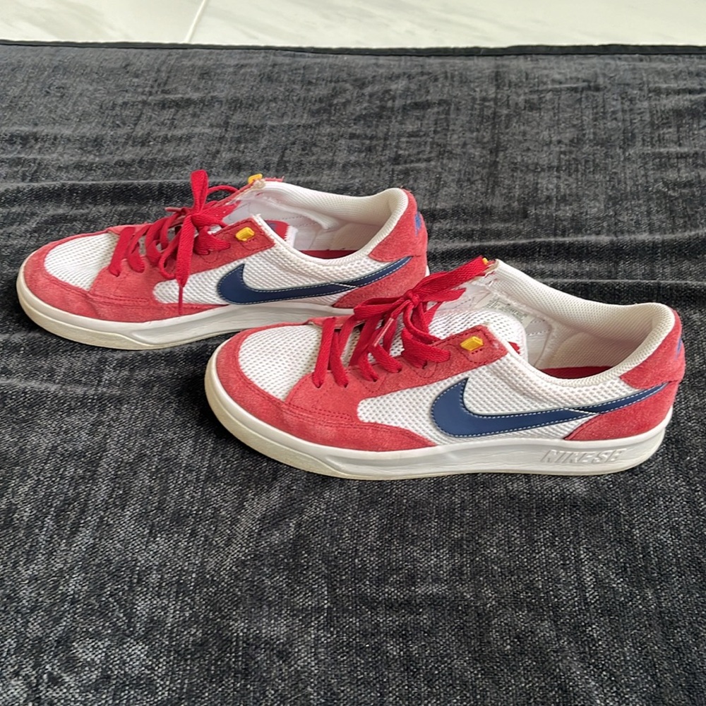 Nike SB adversary size 9